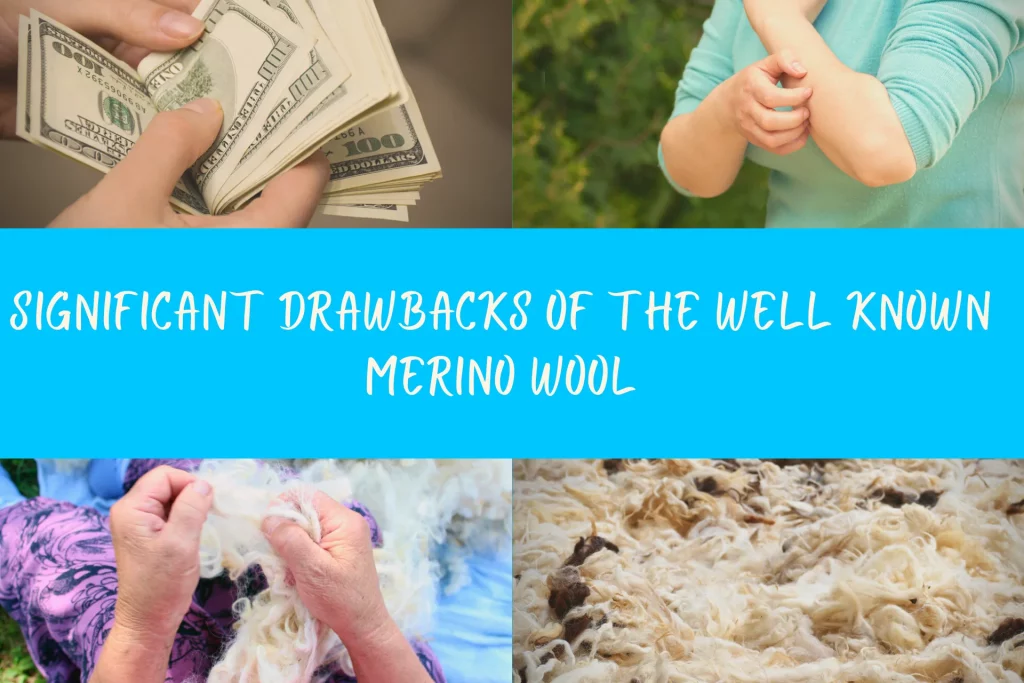 Drawbacks of Merino Wool