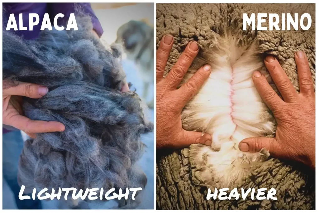 Alpaca vs Merino Wool Weight Comparison