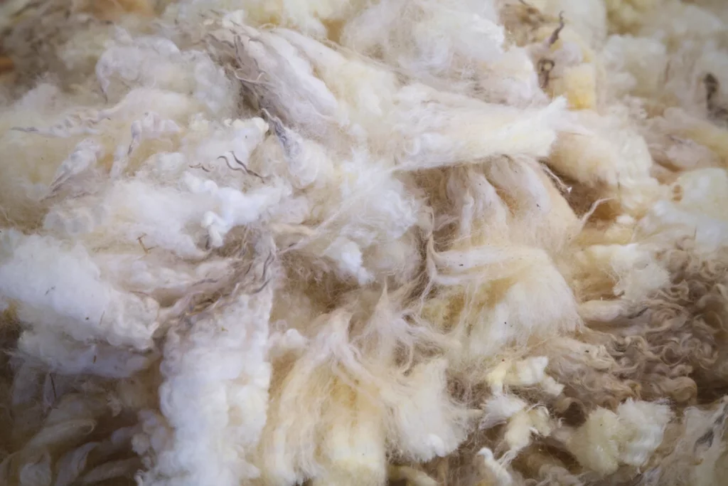 Merino Wool is Natural