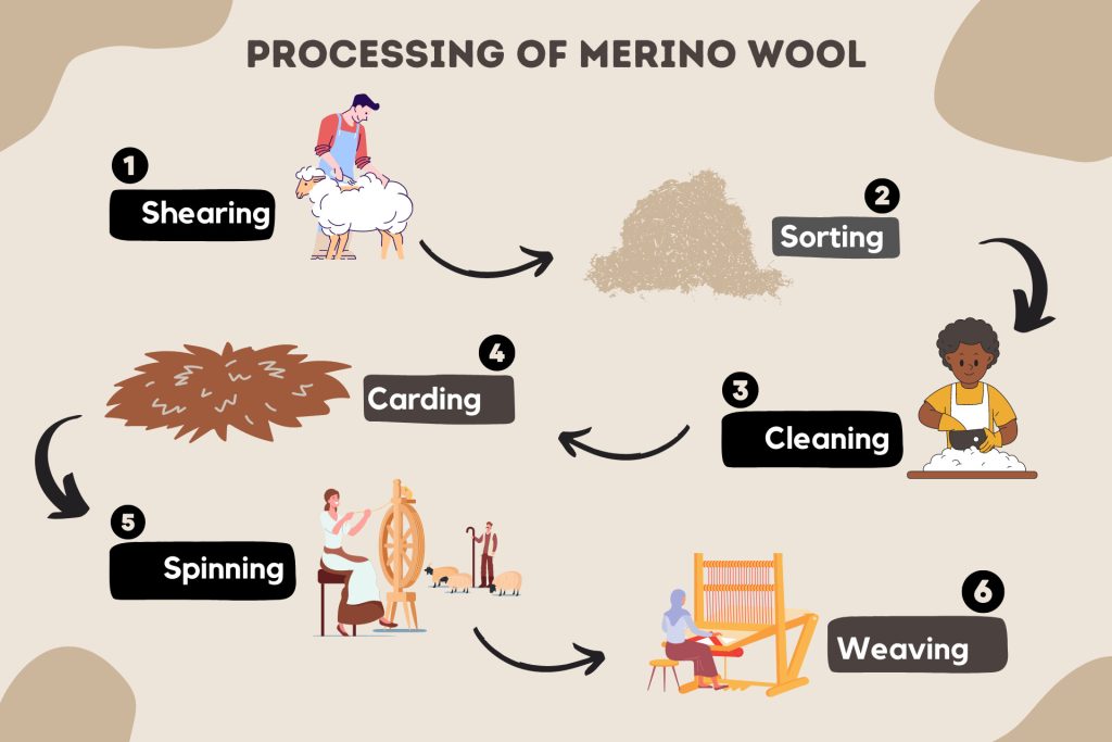 Processing of Merino Wool