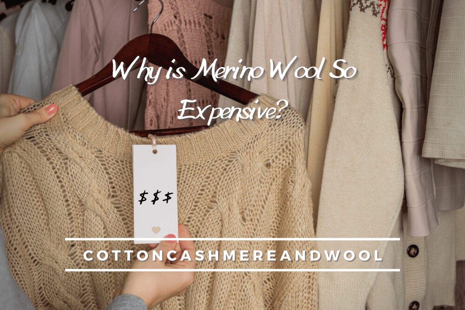 why-is-merino-wool-so-expensive-6-unpopular-reasons