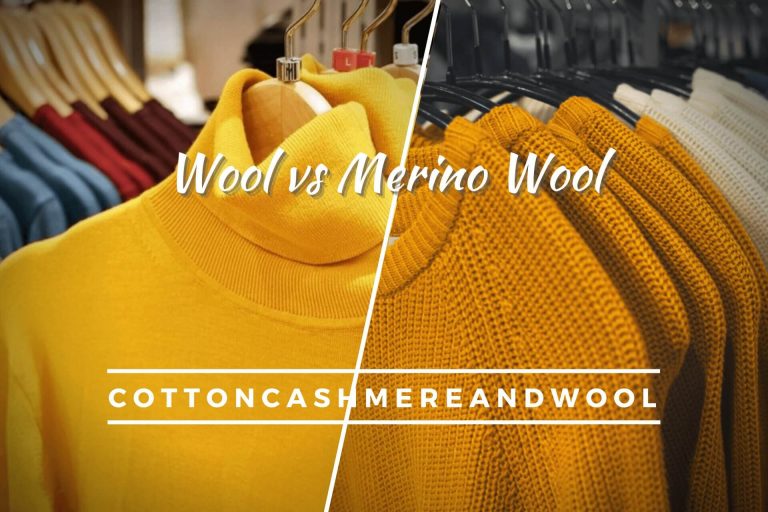 Regular Wool Vs Merino Wool Which One Is Better 2023 4117