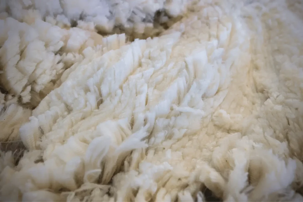 Why Merino Wool?