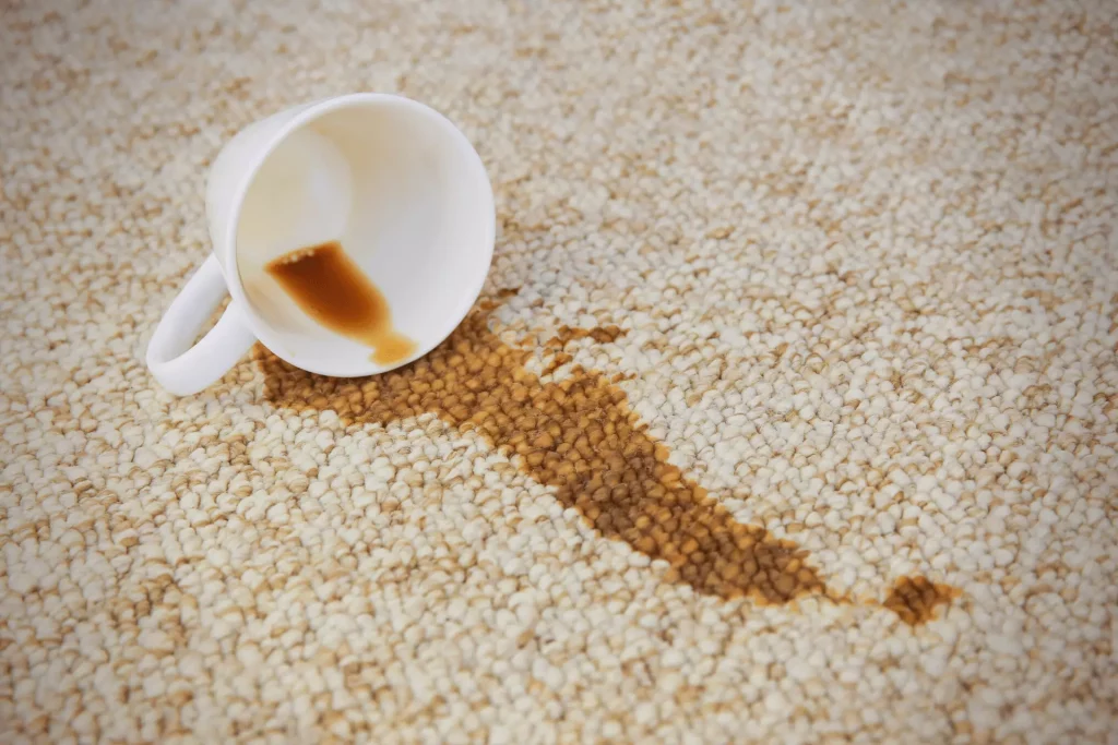 Coffee Stains on Carpet