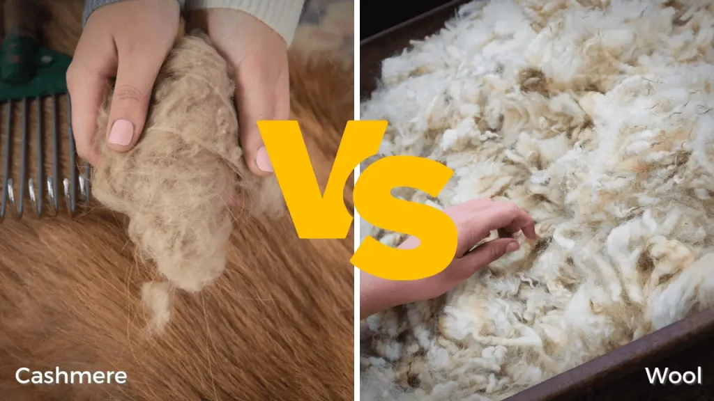 Wool vs. Cashmere