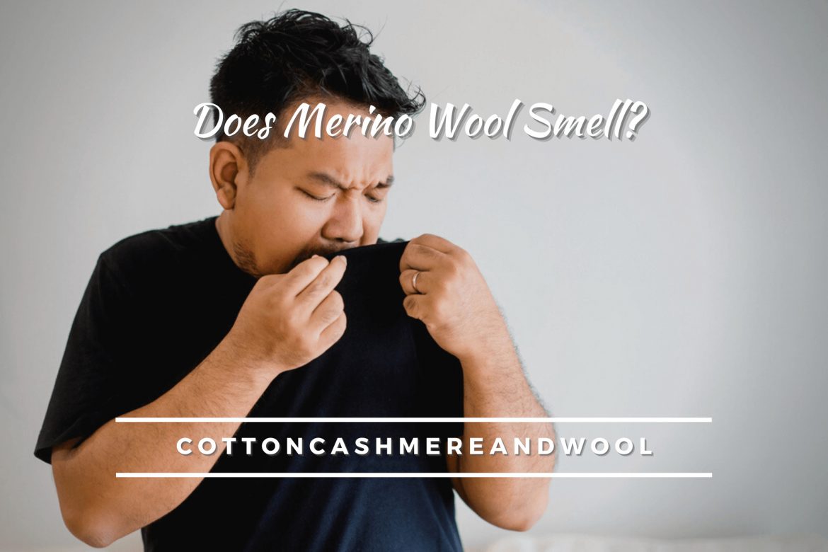 Does Merino Wool Smell? [Reasons & Tips for OdorProofing]
