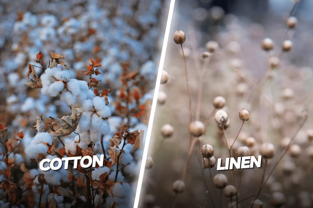 Cotton Vs. Linen