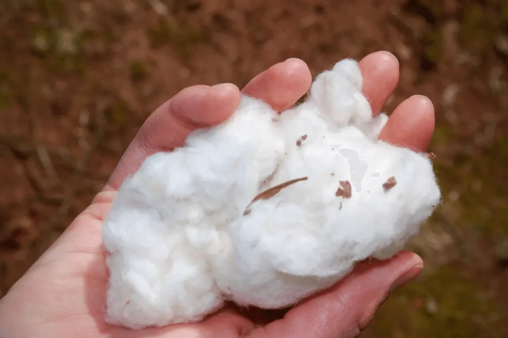 Organic Pima cotton