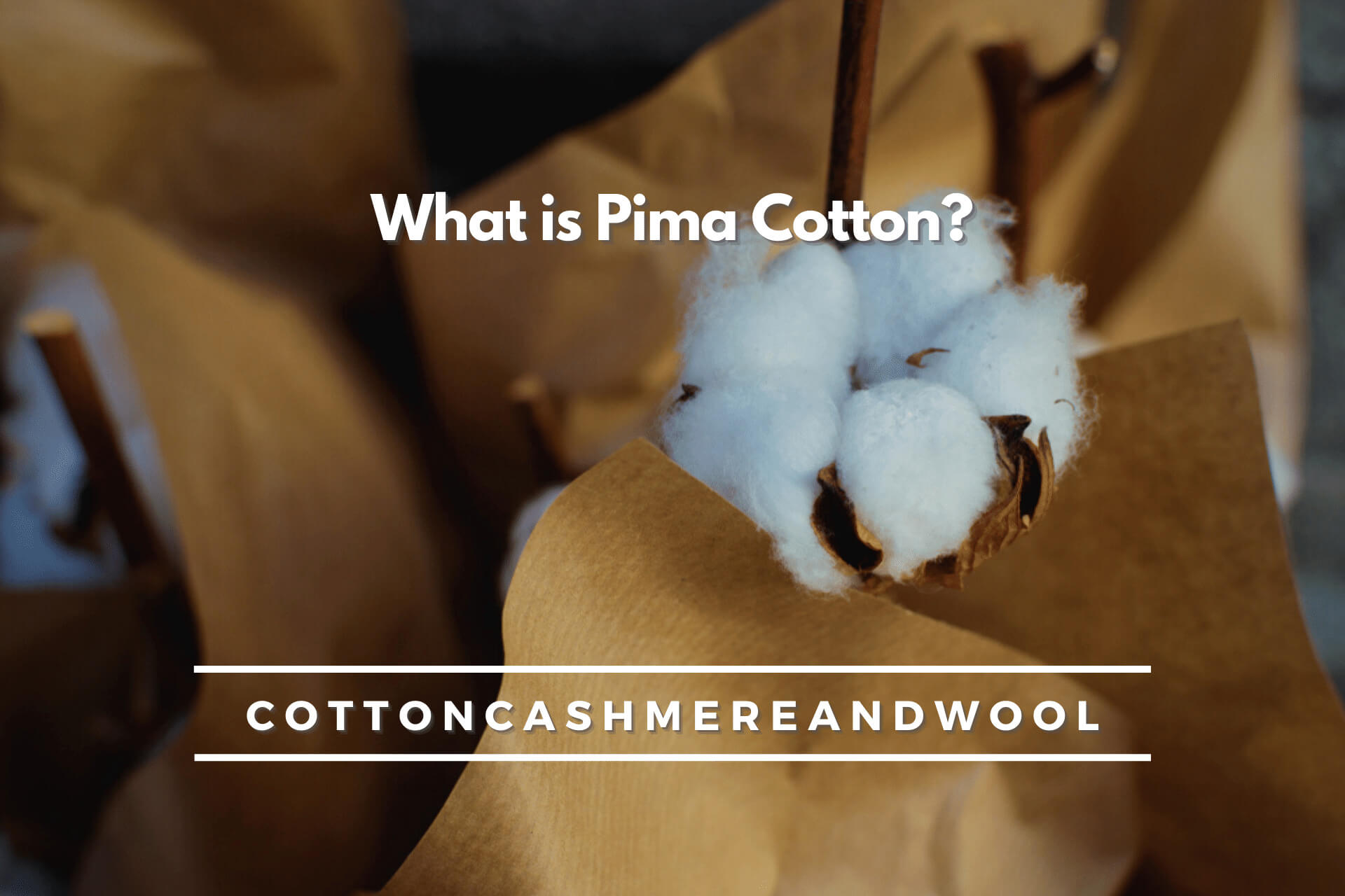 what-is-pima-cotton-5-most-luxury-types