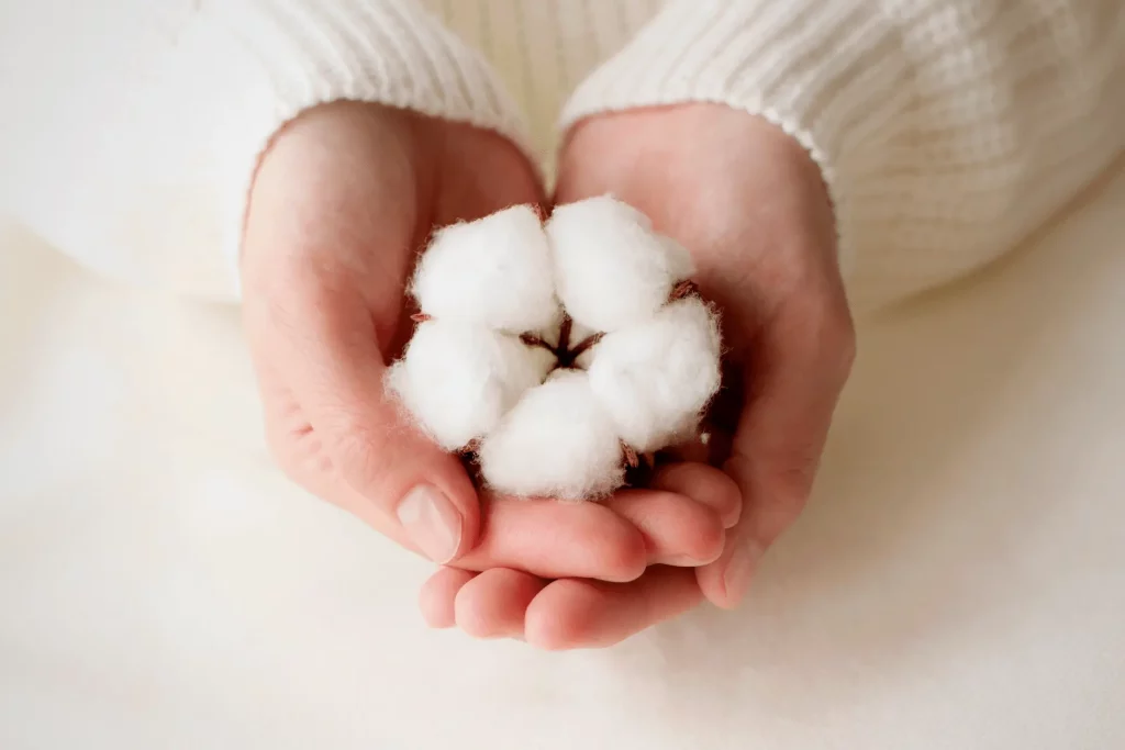 Sustainability and Eco-Friendly Cotton Care